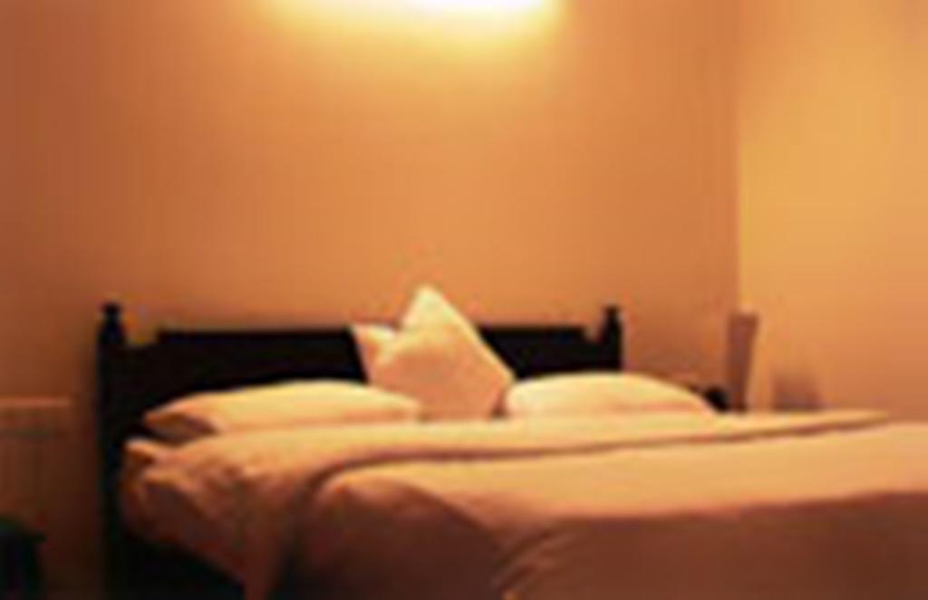 Langdale Manor Hotel Nainital Bilik gambar