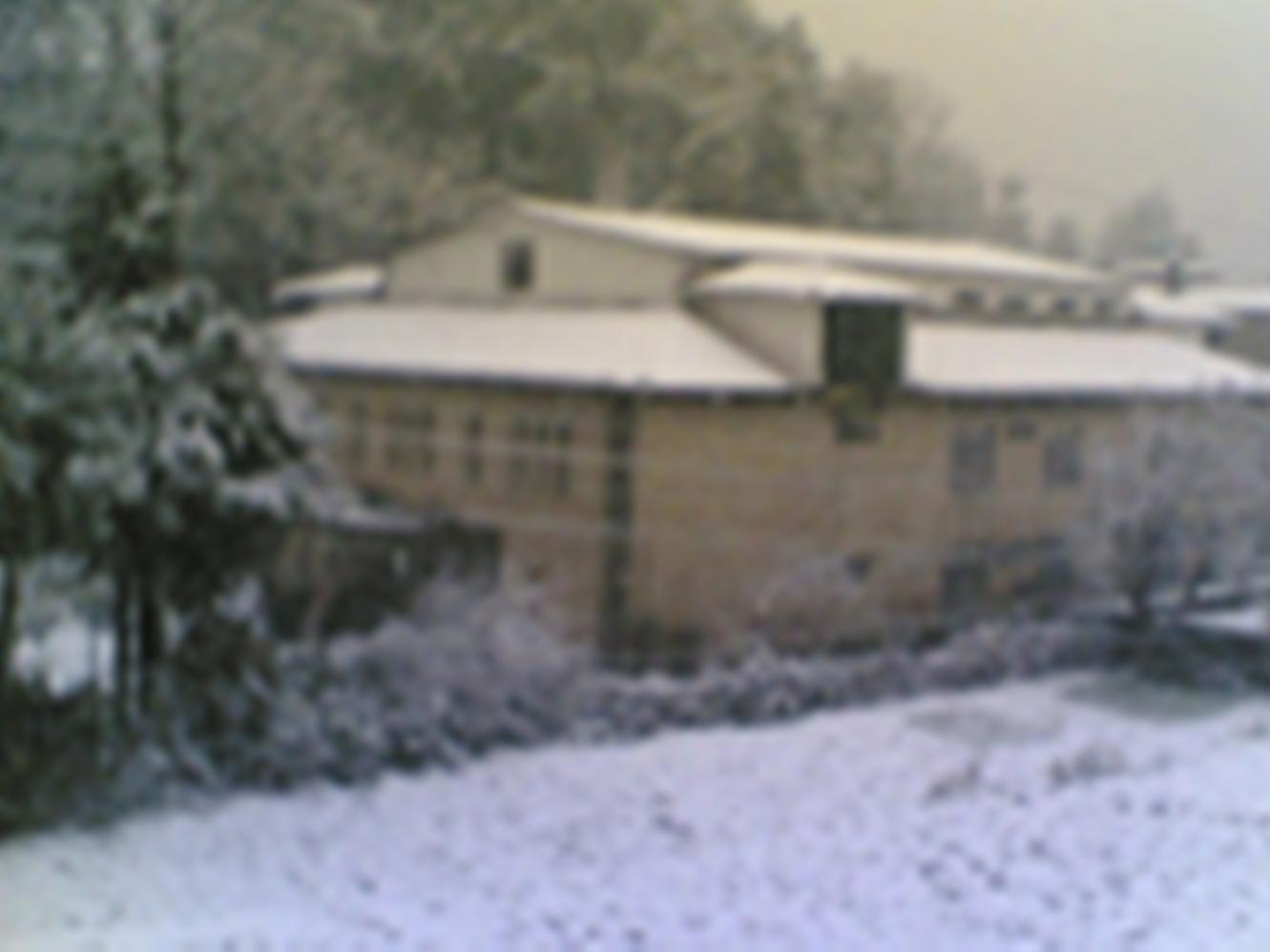Langdale Manor Hotel Nainital Luaran gambar